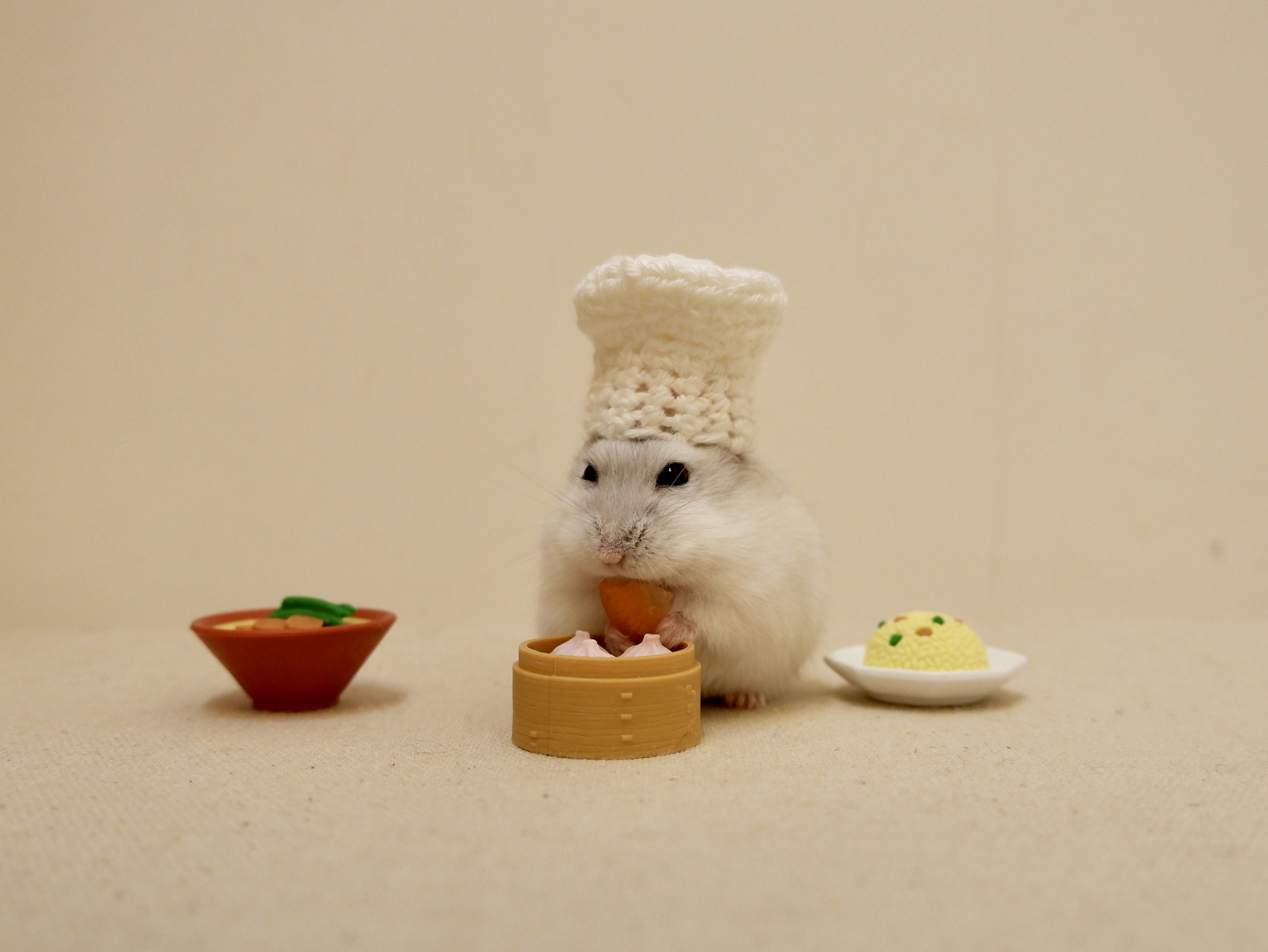 hamster chef hat